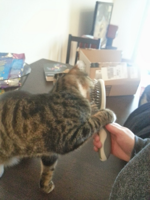 Grabbing the Brush